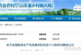 山东推荐全国粮食生产先进集体和先进个人公示图片