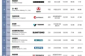 中国起重机企业首夺全球第一 中联重科、徐工存争议图片