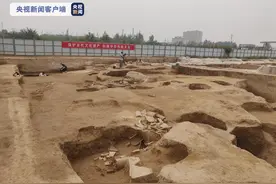 考古新发现！镐京遗址首次发现西周道路遗迹图片