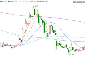 继新能源汽车、芯片、元宇宙后，又要和马斯克一起造火箭… 利欧股份涨停板遮不住亏损窟窿图片