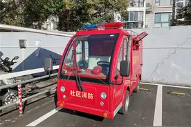 上海市中心最大的岚灵花鸟市场保持“生命力强劲”有秘诀图片