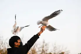 马上解锁！观鸟季投喂候鸟正确方式→图片