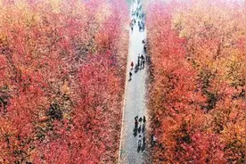 推动特色小镇规范健康发展图片