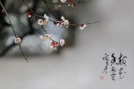 文末有福利！京剧代表传承人、国家一级演员李军领衔！唱响《梅花香自苦寒来》图片