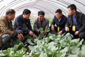 江苏灌云小伊镇迈上全域乡村振兴路图片