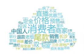 双11消费维权有哪些？中消协点名匡威斐乐欧莱雅薇诺娜图片