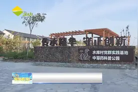 小公园变身“百草园”中草药文化走进乡村百姓家视频封面