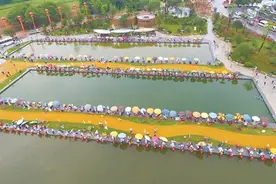 “草根”到“顶流”丨一根芦苇，钓起一片江湖图片