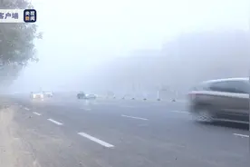 受大雾天气影响 山东多条高速公路临时封闭图片