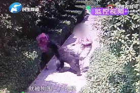 狗主耍无赖，狗咬人9期节目未解决，记者被气哭！央媒：拿他没辙？图片