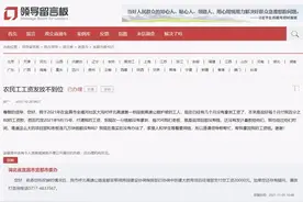 网友反映欠薪 湖北开展根治欠薪冬季专项行动图片