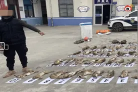 带犬非法狩猎47只野生动物 定远一男子被刑拘图片