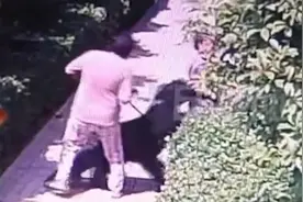安阳市政府办回应狗咬老人事件：当事人与副市长是亲属系谣言视频封面