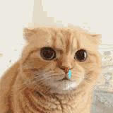 春天，别让过敏赖上你