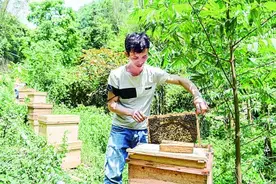 让生态文明之花绚丽地绽放在民族地区图片