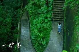 谁才是葛薇龙悲剧的主谋？许鞍华《第一炉香》没有告诉你的事儿图片