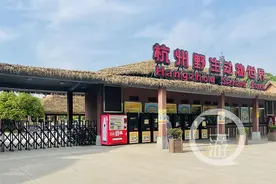 杭州金钱豹“出逃”事件6人获刑，搜捕第三只持续一个月无进展后停止图片