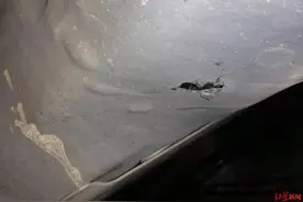 车刚修好再遇事故，车灯遭拒赔 人寿财险：要视频证明，交警认定也不行图片