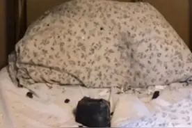 豪宅女子被衣物压死？！是真的…这事还不止一次…图片