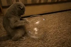 太尴尬了！徐州这个男孩被全小区围观……图片