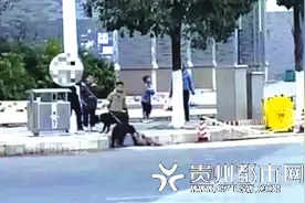 两条狗当街咬死猕猴 狗主人：只是想吓吓它图片