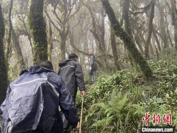 鸡皮疙瘩系列txt免费下载
