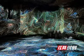 湘村振兴丨搭上旅游快车 燕子岩“燕子归巢”图片