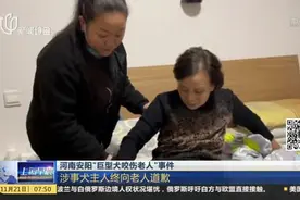 河南安阳“巨型犬咬伤老人”事件：老人家属曾向媒体求助 采取多项维权措施视频封面
