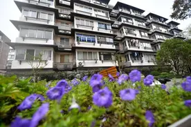 西湖边“老破小”蝶变“未来社区”图片