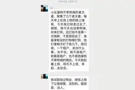 武汉“跳楼抗议遛狗不牵绳”女子家属再发声：不要网暴养狗人家属图片