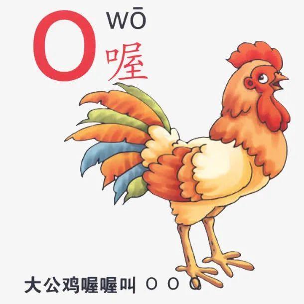 uo是复韵母吗(o韵母怎么读) | 苏普空间