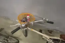 邻居乱停车，男子竟这样“教育”！普陀警方提醒……图片