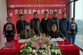 推进乡村振兴战略 益丰大药房凤凰樟坡村采购100万元罗汉果视频封面