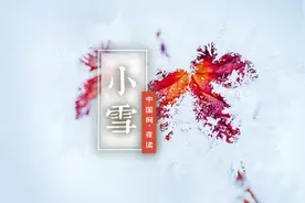 夜读 | 小雪：飞雪如花落，岁岁又年年图片