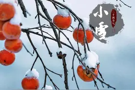 小雪：花雪随风不厌看，又是一年小雪时图片
