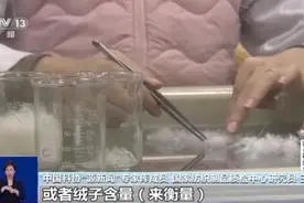 鹅绒比鸭绒更保暖？冬季御寒单品购买攻略来了图片