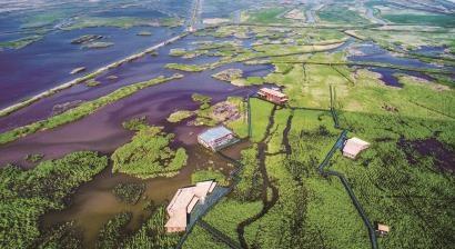 “蝶变”崇明，逐梦新时代潮头