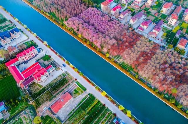 “蝶变”崇明，逐梦新时代潮头
