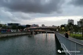 移民新加坡的理由——生活单纯，交通便捷，人事不复杂……图片