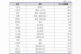 IPO雷达 | 独董年薪才700元，高管薪酬异常波动，金橙子冲科创板靠谱吗？图片