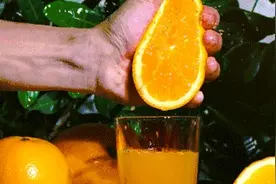 居然是真的！大量吃橘子会变成“小黄人”图片