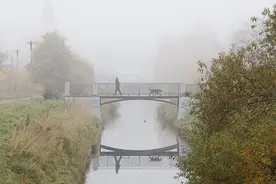 狗咬人、女子跳楼背后的养狗纠纷：说到底都是人与人的冲突图片