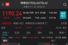马斯克放话！特斯拉又暴涨图片