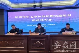 蚌埠将建设“三横三纵二联”的城市快速路网系统 总里程达到115公里图片