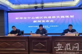 蚌埠将建设“三横三纵二联”的城市快速路网系统 总里程达到115公里图片