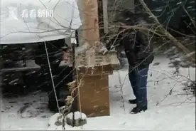 太有战斗力了！两位大爷落雪纷纷中下象棋数小时图片