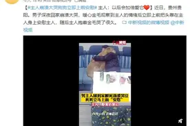 主人崩溃大哭狗狗上前安慰 主人：以后会加倍爱它图片