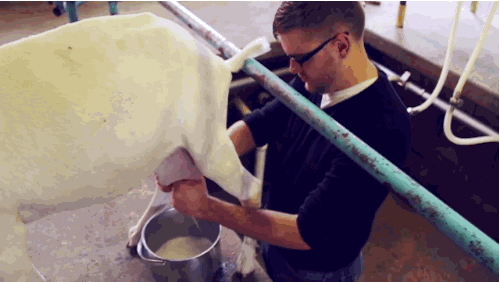 身体乳是往哪里抹的