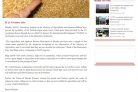 美机构向叙利亚发放千吨麦种 叙农业部：根本不适合种植图片