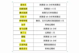 被批的B站“大会员”业务：用户1820万 营收占比有限图片